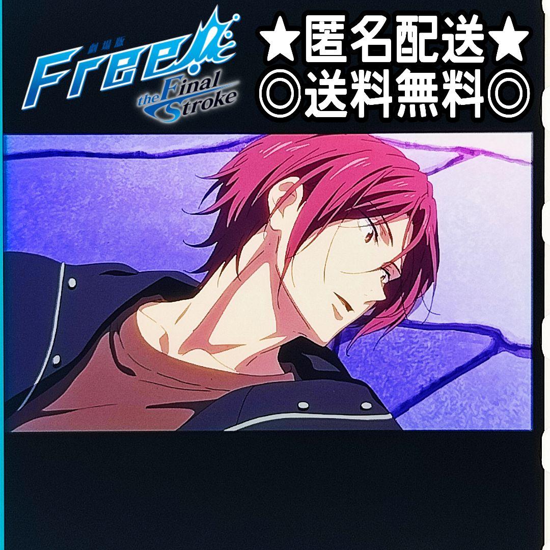 松岡凛 ナイトプール】 Free!FS 後編 コマフィルム 入場者特典 横顔