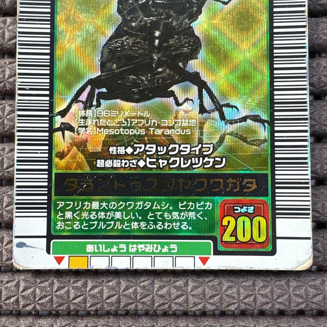 希少 タランドゥスツヤクワガタ 2003AUTUMN 秋 初期 金 ムシキング