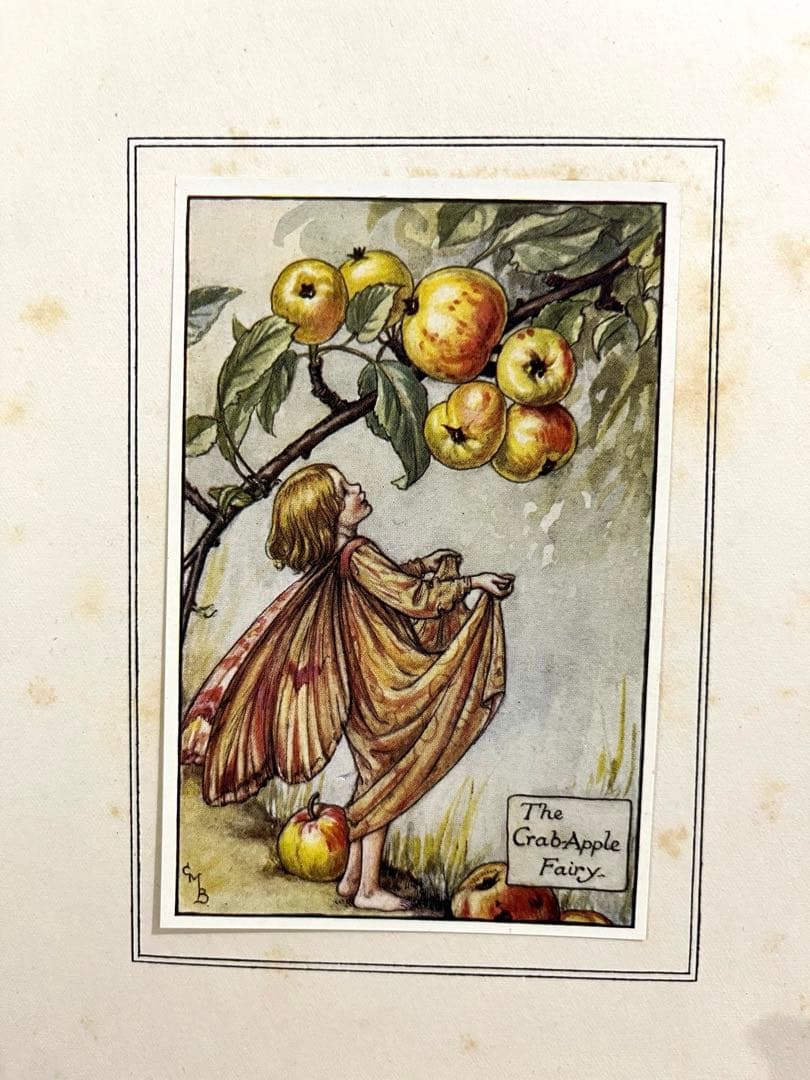 No359 希少 古書 洋書 楽譜 絵本 花の妖精 フラワー フェアリーズ