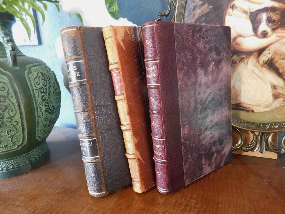 3冊セット.:*゜背表紙が素敵なドイツとチェコの古書 20世紀初頭 まとめ