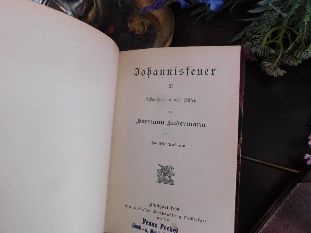 3冊セット.:*゜背表紙が素敵なドイツとチェコの古書 20世紀初頭 まとめ