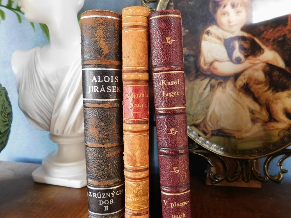 3冊セット.:*゜背表紙が素敵なドイツとチェコの古書 20世紀初頭 まとめ