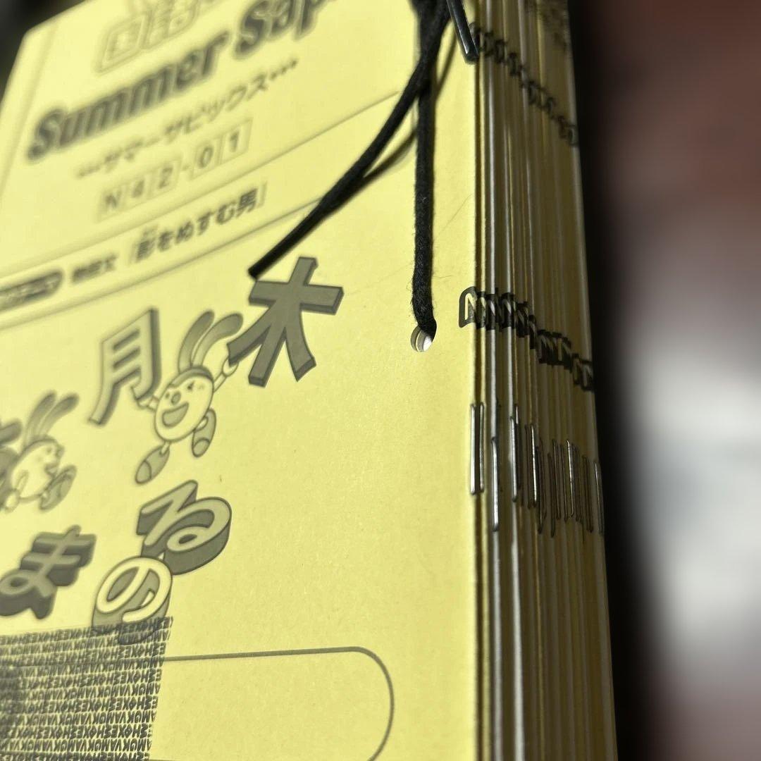 ⑱え 希少未記入 サマーサピックス SAPIX 小学4年 国語 夏期講習