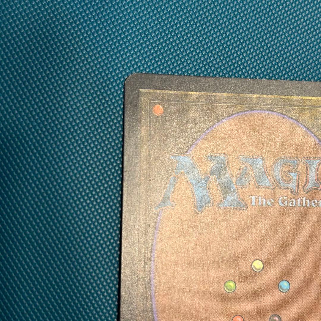 【ジャッジFoil】《吹きさらしの荒野/Windswept Heath》英語