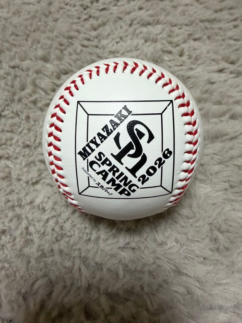 福岡ソフトバンクホークス 徐若熙 直筆サインボール キャンプ地限定