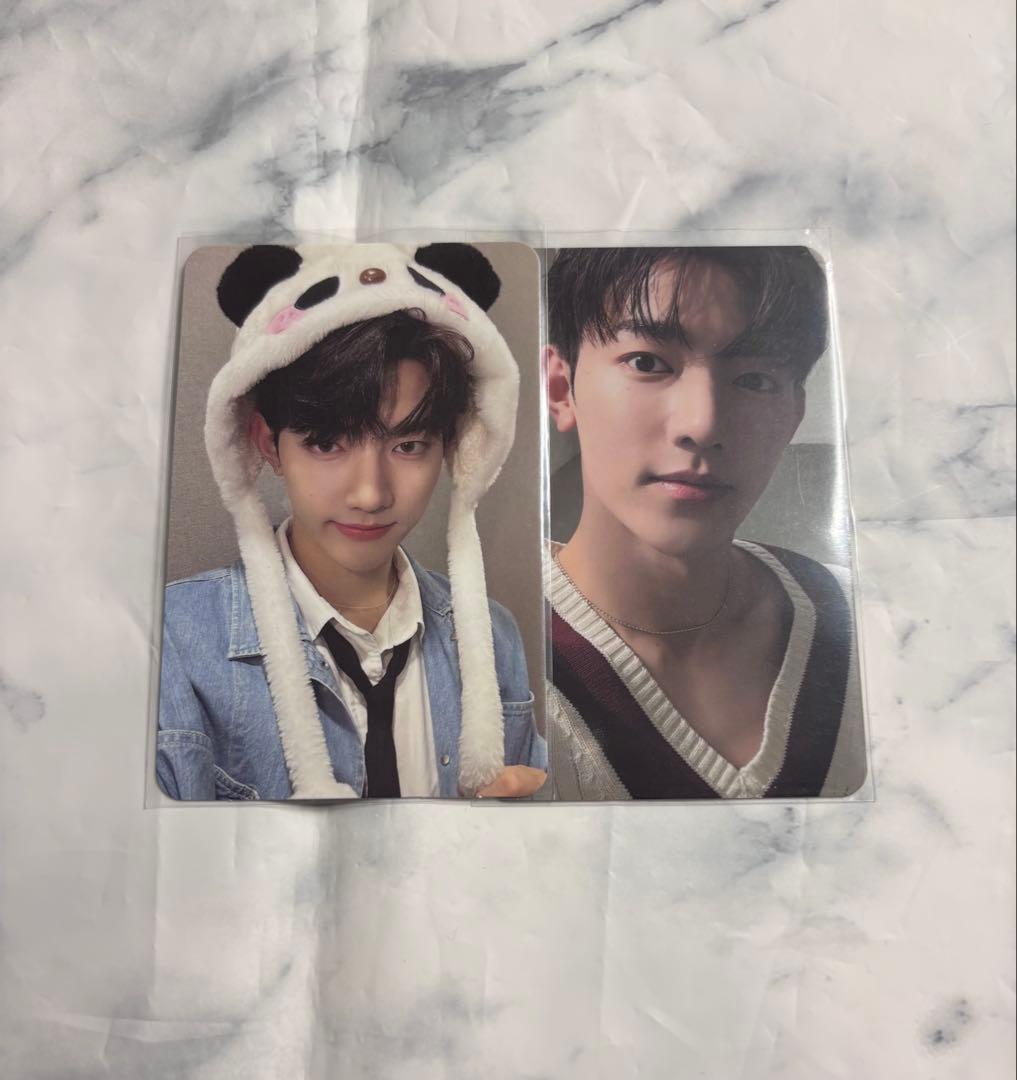 zb1 ジャンハオ パンダ トレカ - メルカリ