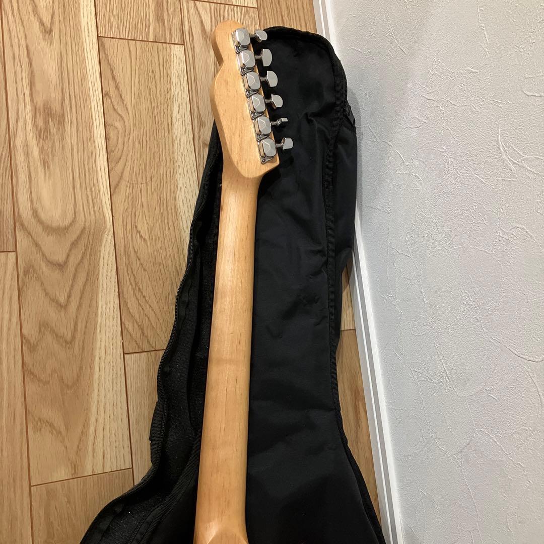 PLAYTECH（プレイテック）エレキギタ カバーセット売り