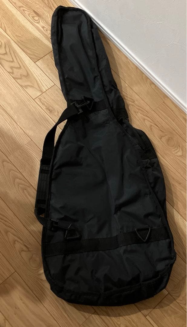 PLAYTECH（プレイテック）エレキギタ カバーセット売り