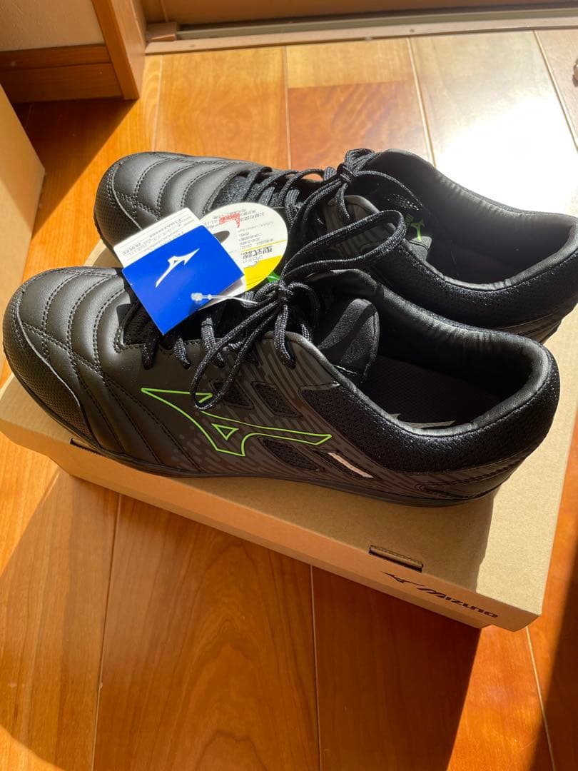 ミズノ安全靴　オールマイティTDⅡ 11L 28.0cm 新品未使用