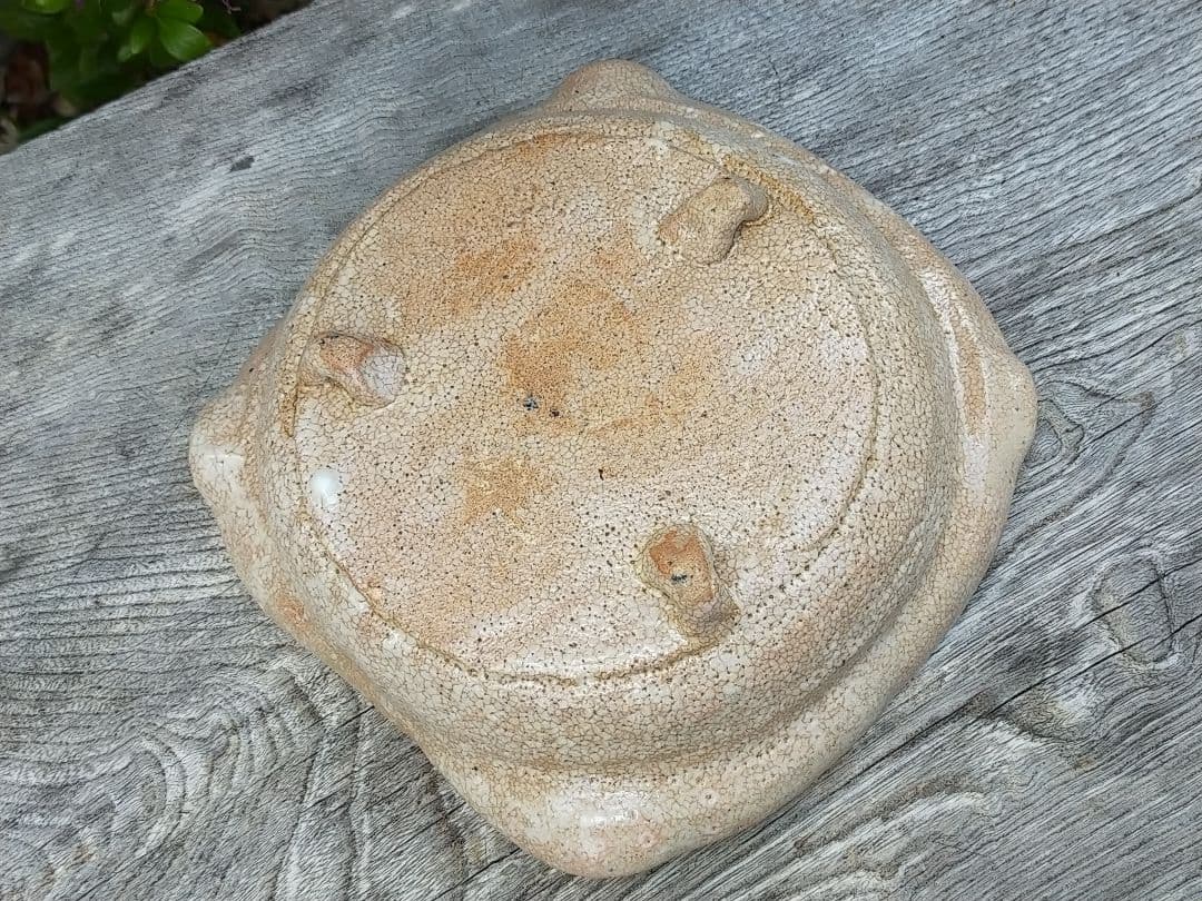 ♥美濃焼 絵志野 鉢 桐箱付き 志野 骨董品 - メルカリ