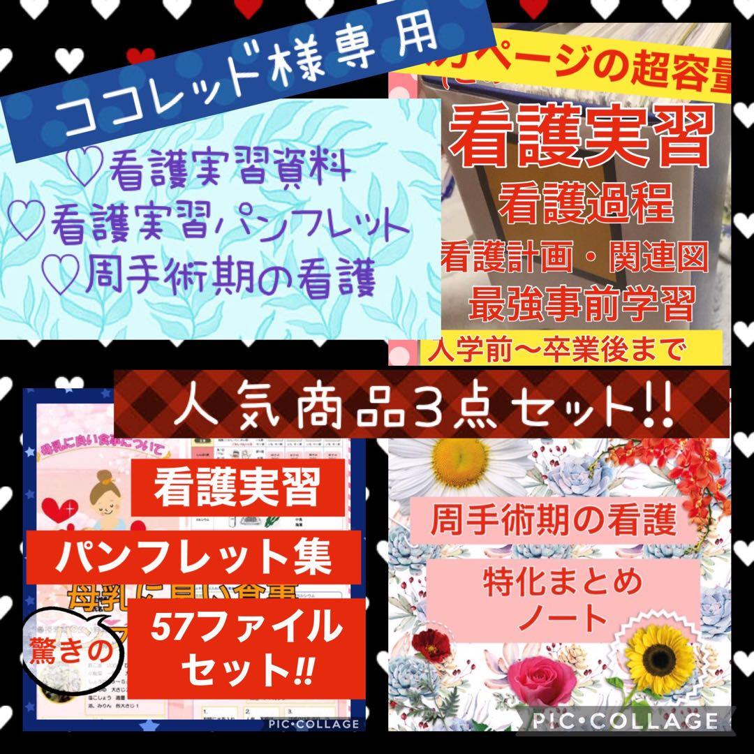 専用 看護学生 看護学校 手順書 関連図 パンフレット 周手術期 急性期 国試 専用 看護学生 看護学校 手順書 関連図 パンフレット 周手術期 急性期 国