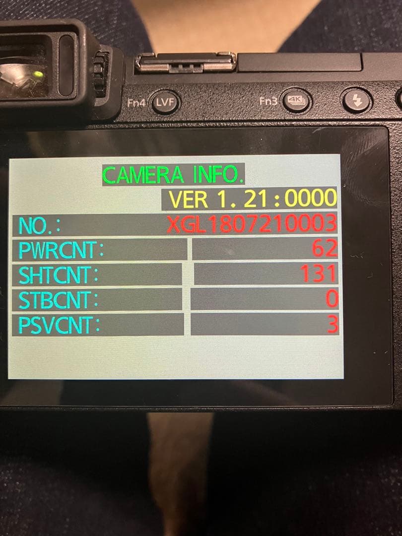 LUMIX DMC-GX7MK2K シャッター回数131回 - メルカリ