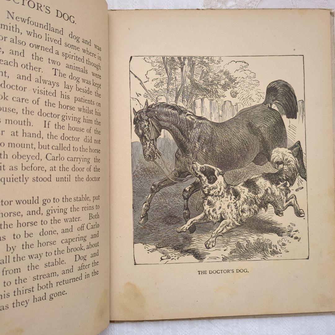 稀少1896年 アンティーク絵本 ヴィクトリアン 洋書 古書 ヴンテージ