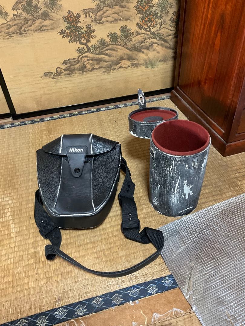 Nikon F4 ・AF NIKKOR ED 80〜200mm 1：2.8D 。