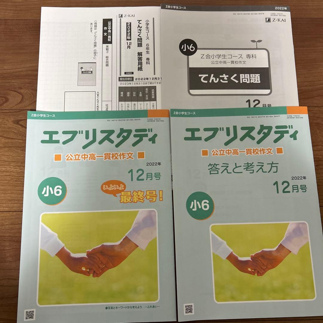 Z会 エブリスタディ 公立中高一貫校 作文 小6 2022年 4〜12月 一年分