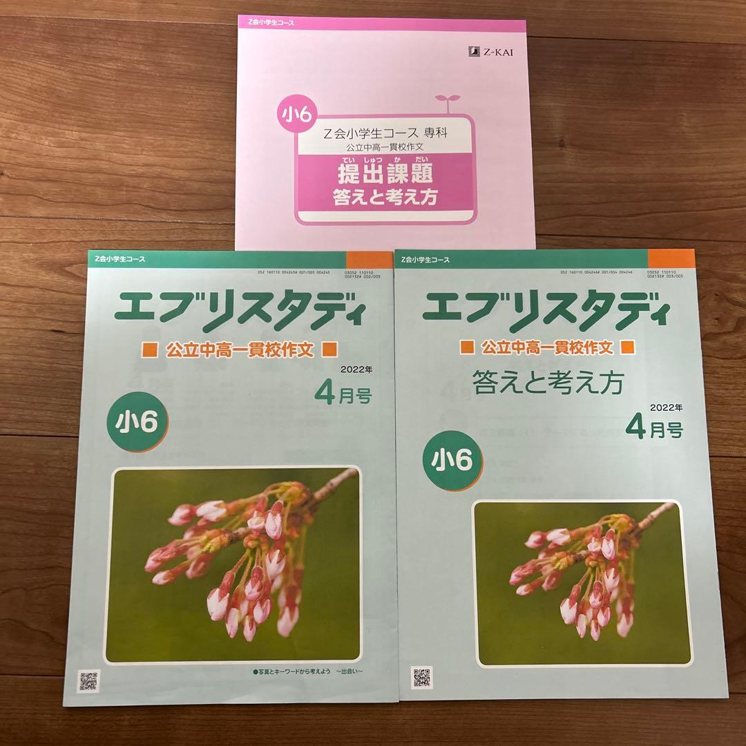 Z会 エブリスタディ 公立中高一貫校 作文 小6 2022年 4〜12月 一年分
