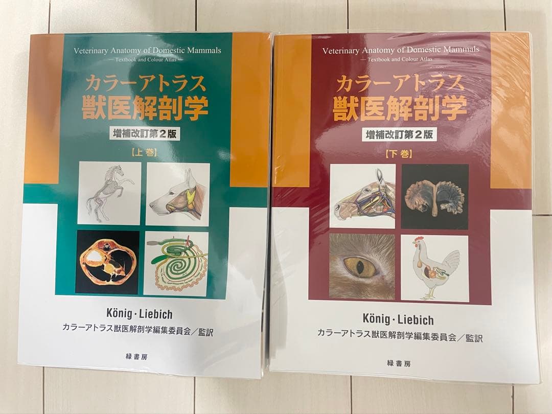 カラーアトラス 獣医解剖学 増補改訂第2版 上下巻セット Amazon.co.jp: カラーアトラス獣医解剖学 増補改訂第2版 上巻 : カラー