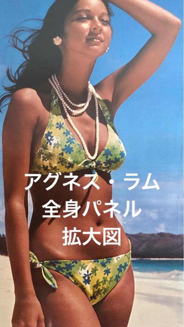 値下げ！景品つき！ついにでた！ハワイの女神アグネス・ラム全身パネル