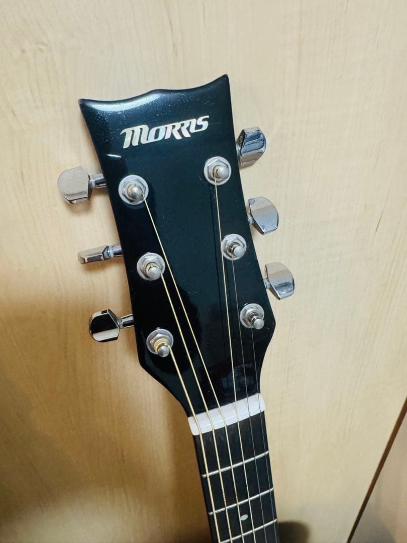 Morris MG302STS アコースティックギター - ギターブランド