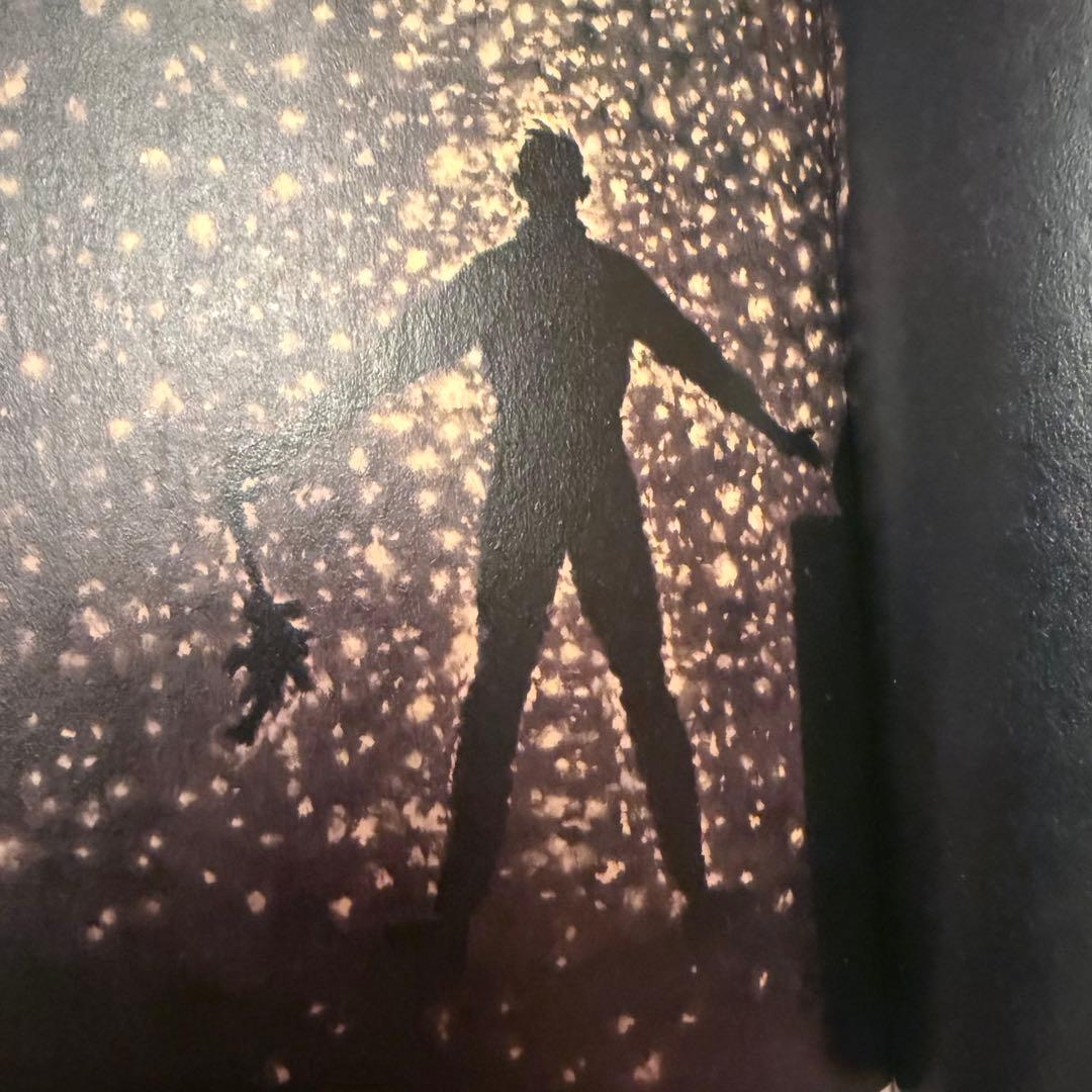 2220様感謝‼️大人も読みたい‼️小学館　少年少女世界の文学全集　全30巻初版