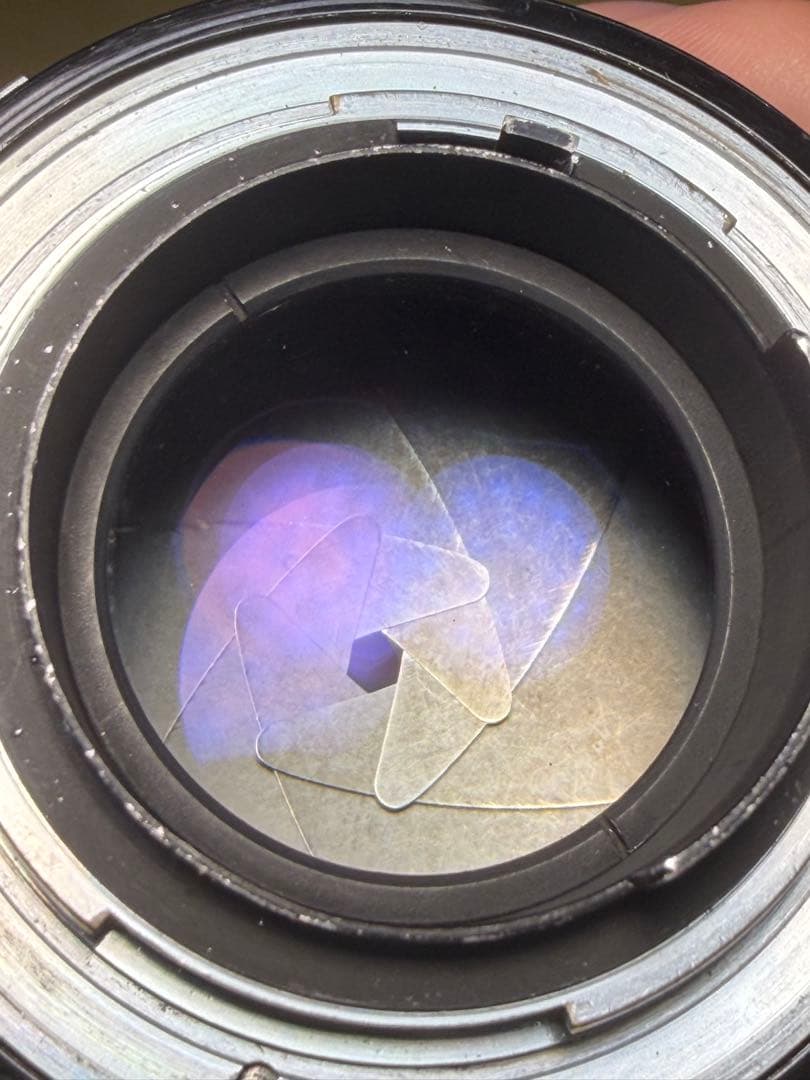 Nikon Nikkor-S Auto 5.8cm F1.4 + フード