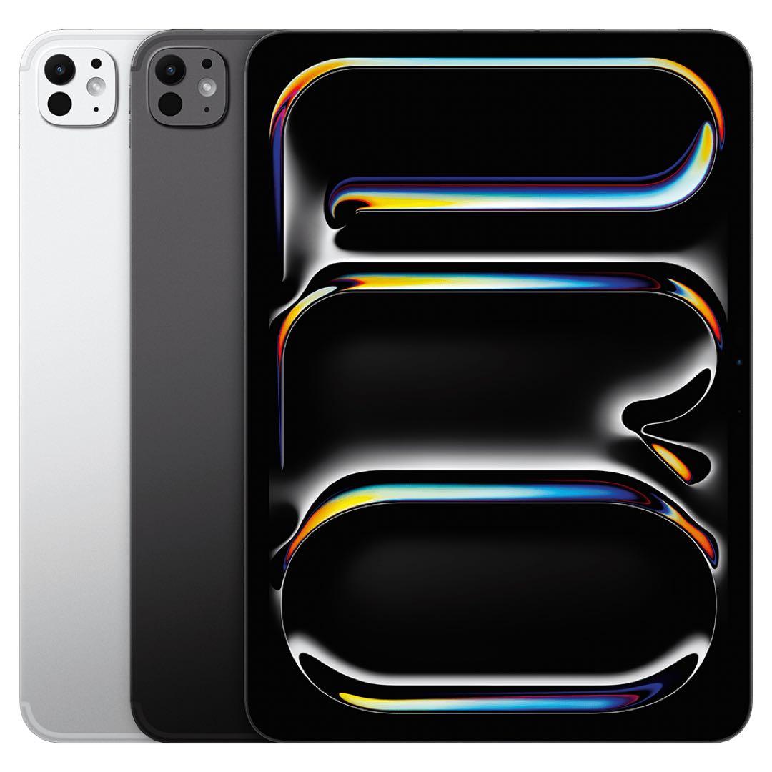 L*s様 Apple iPad Pro 11インチ スペースグレー 本体　M4 Apple iPad Pro 11インチ (M4) Wi-Fi 256GB 2024年春モデル 価格比較