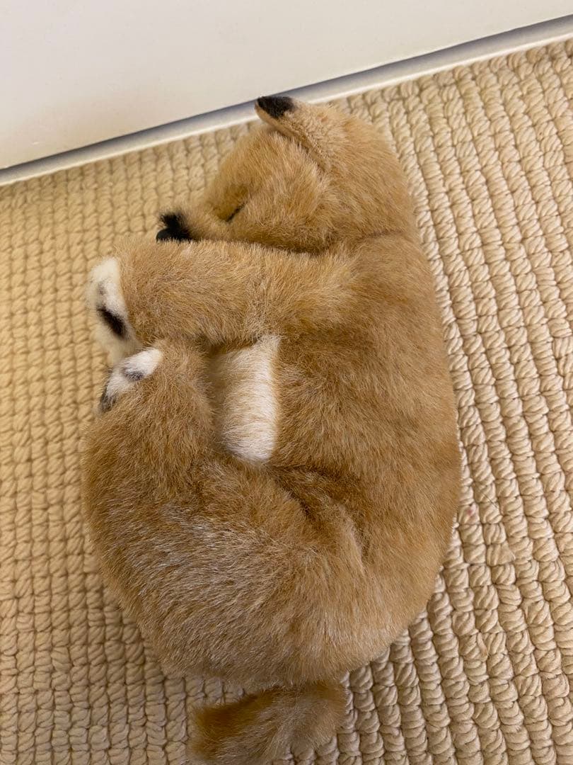 オンライン セールゲーム・おもちゃ・グッズ - 四季オリジナル 柴犬