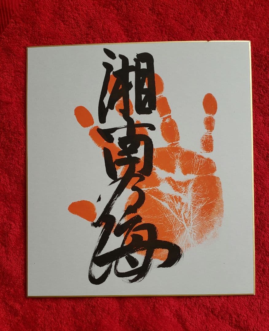 大相撲 湘南乃海 直筆サイン入り手形 本物 - メルカリ