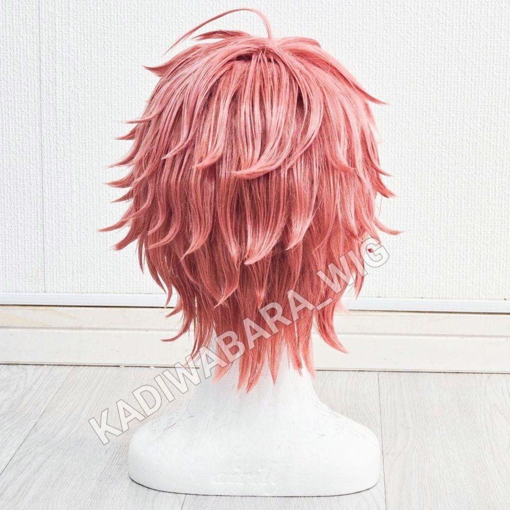 にじさんじ 赤城ウェン コスプレ衣装 ウィッグ - メルカリ