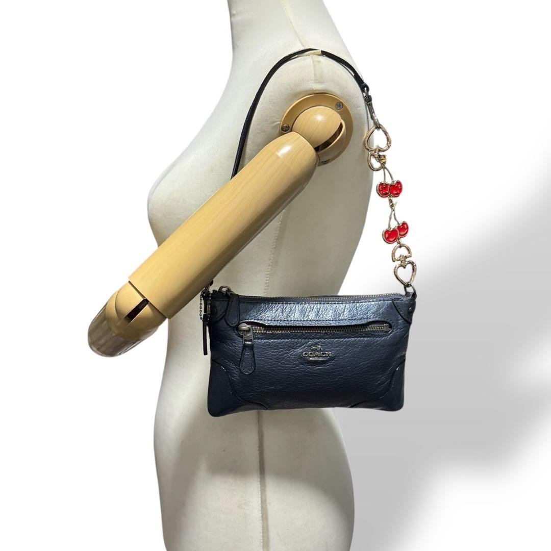 COACH Y2K Leather Cherry Accessory Pouch - メルカリ