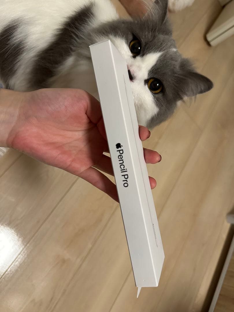 Apple Pencil Pro 間違えて購入してしまったため出品 アップルペンシルプロ 対応機種を間違えて買ってしまったので出品しま