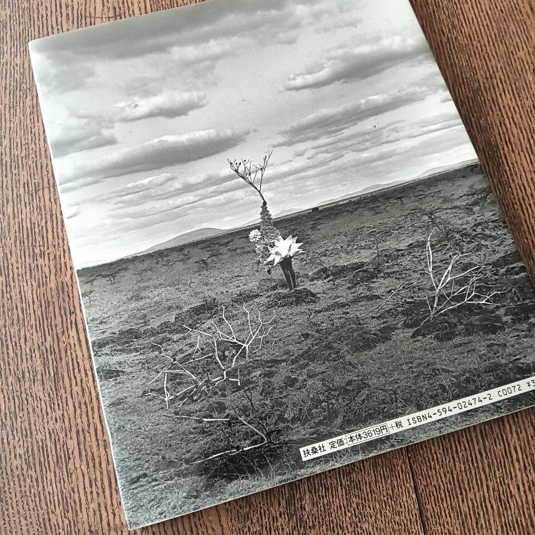 SKin YURIKO TAKAGI×KOZUE HIBINO 高木由利子写真集