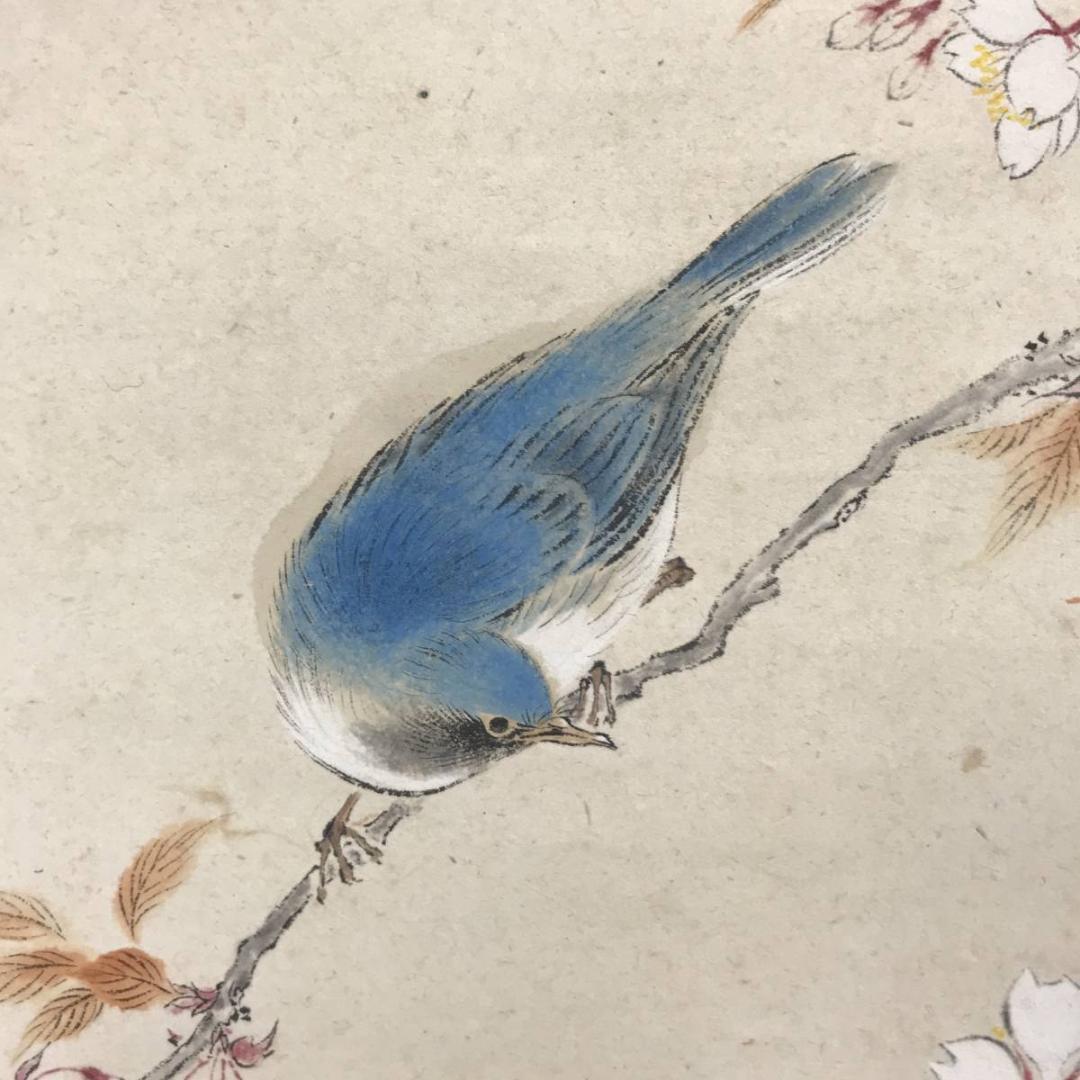 真作】岡田蘇水/桜小禽図/桜に小鳥図/掛軸/名家伝来/AC-477