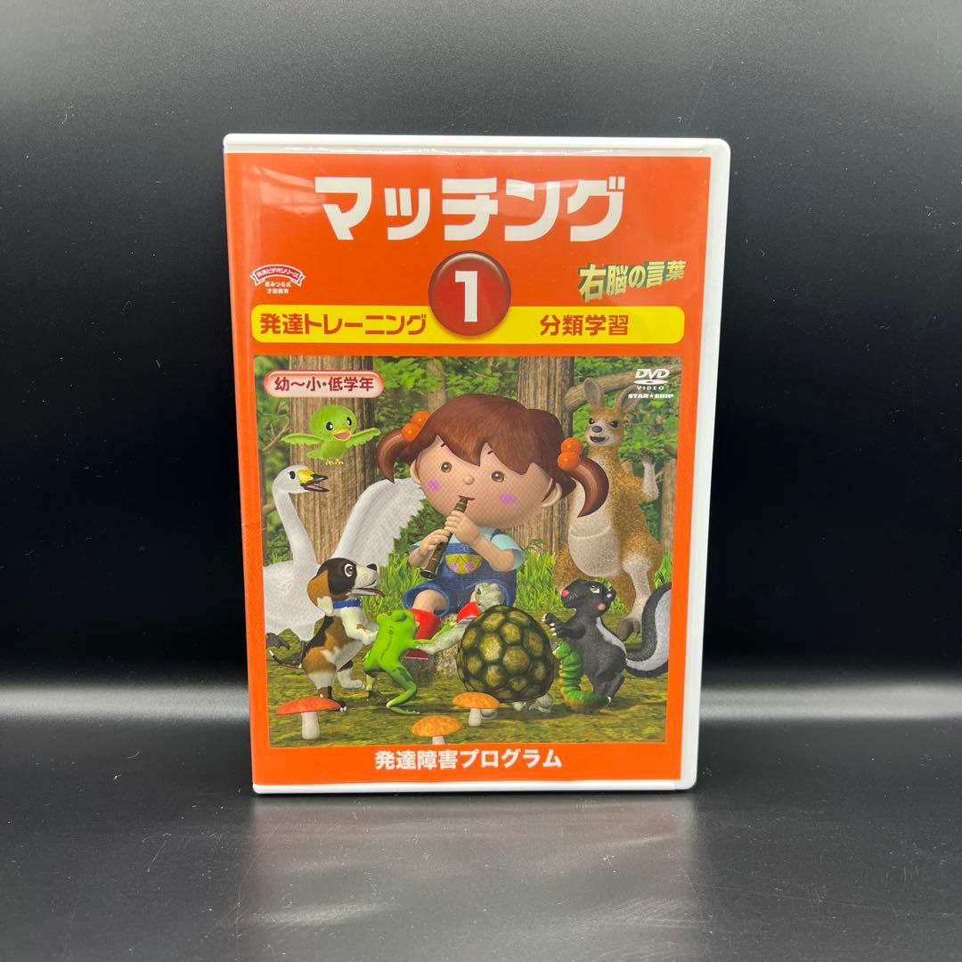 星みつる式 マッチング 1〜6巻 発達トレーニング DVD 分類学習 右脳の