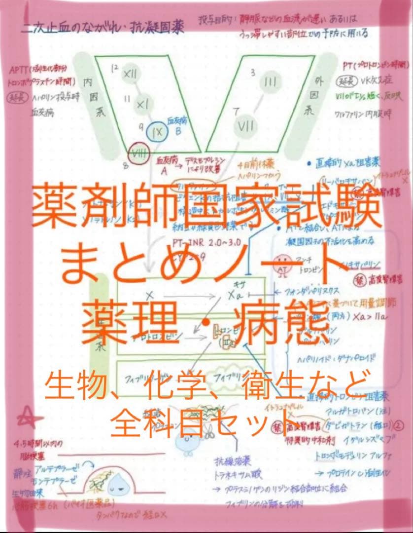 薬剤師国家試験対策 まとめノート 全科目セット 薬学部 - メルカリ