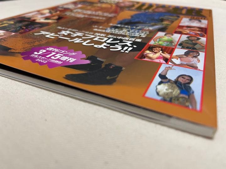 女子プロレススーパーカタログ2002