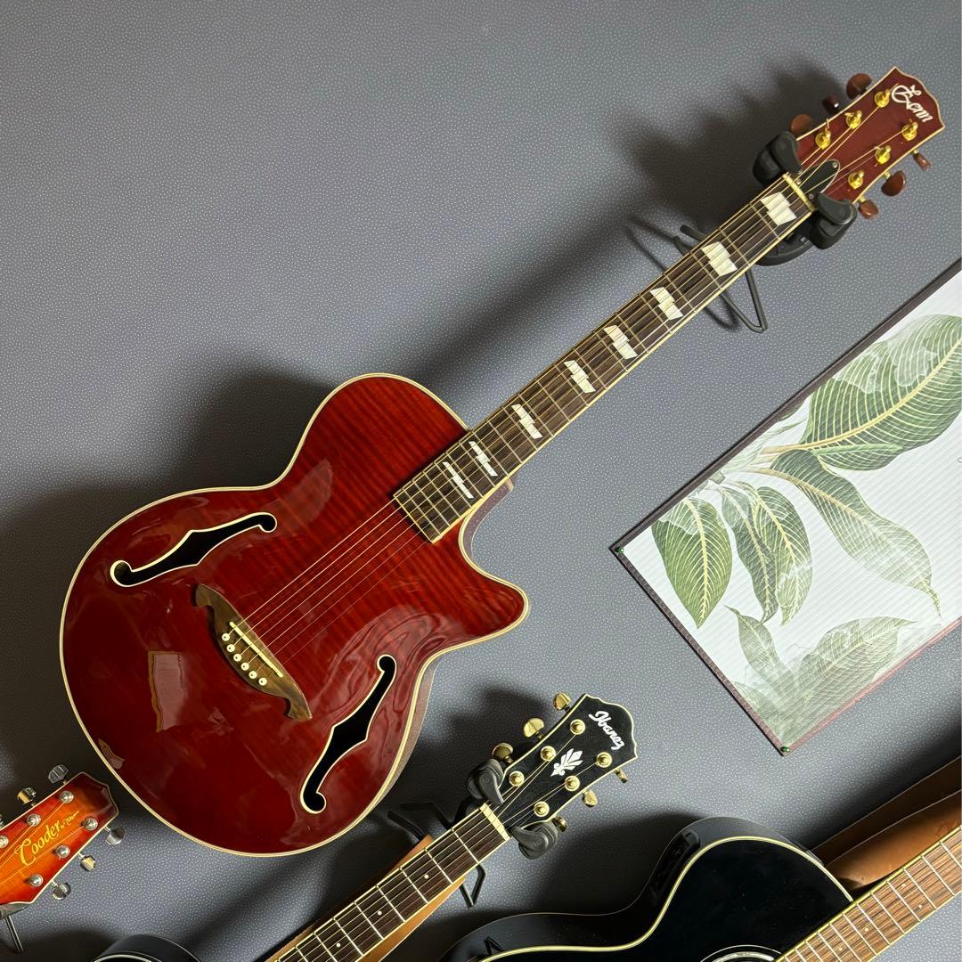 専用【超美品低弦高】ZENN ZF33CEエレアコ fホール - メルカリ