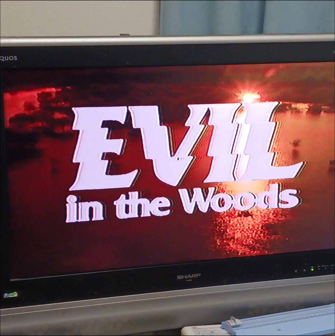 中古VHS】死霊の森 DVD 未発売 - メルカリ