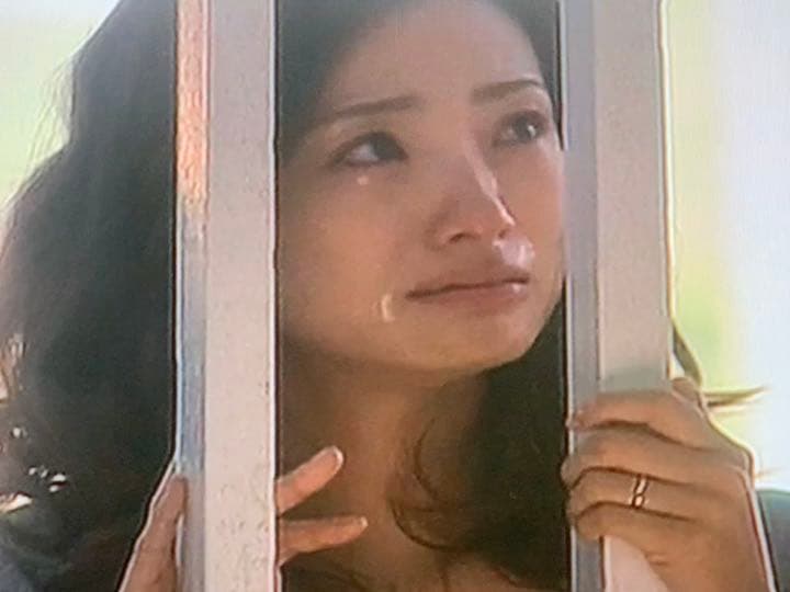 送料無料】昼顔 TVシリーズ & 劇場版 DVD 全巻セット 上戸彩 斎藤工