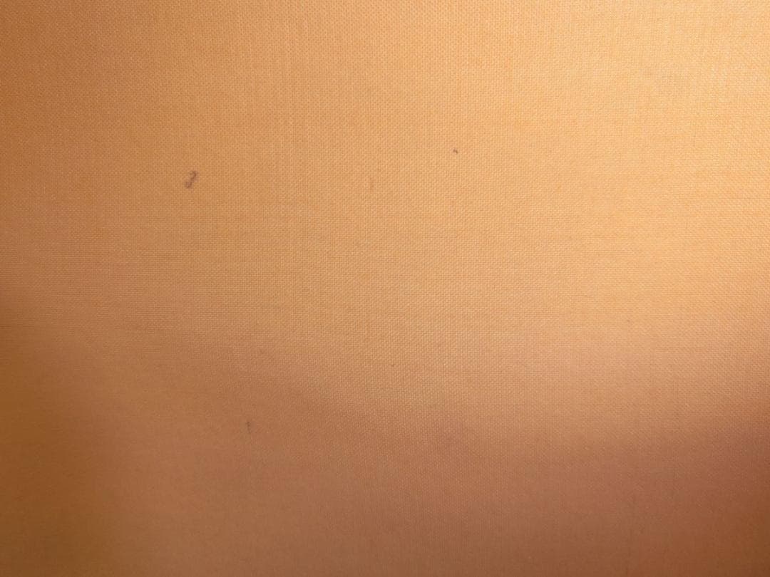 ㊶旭日静波 作者不明 掛け軸 - メルカリ