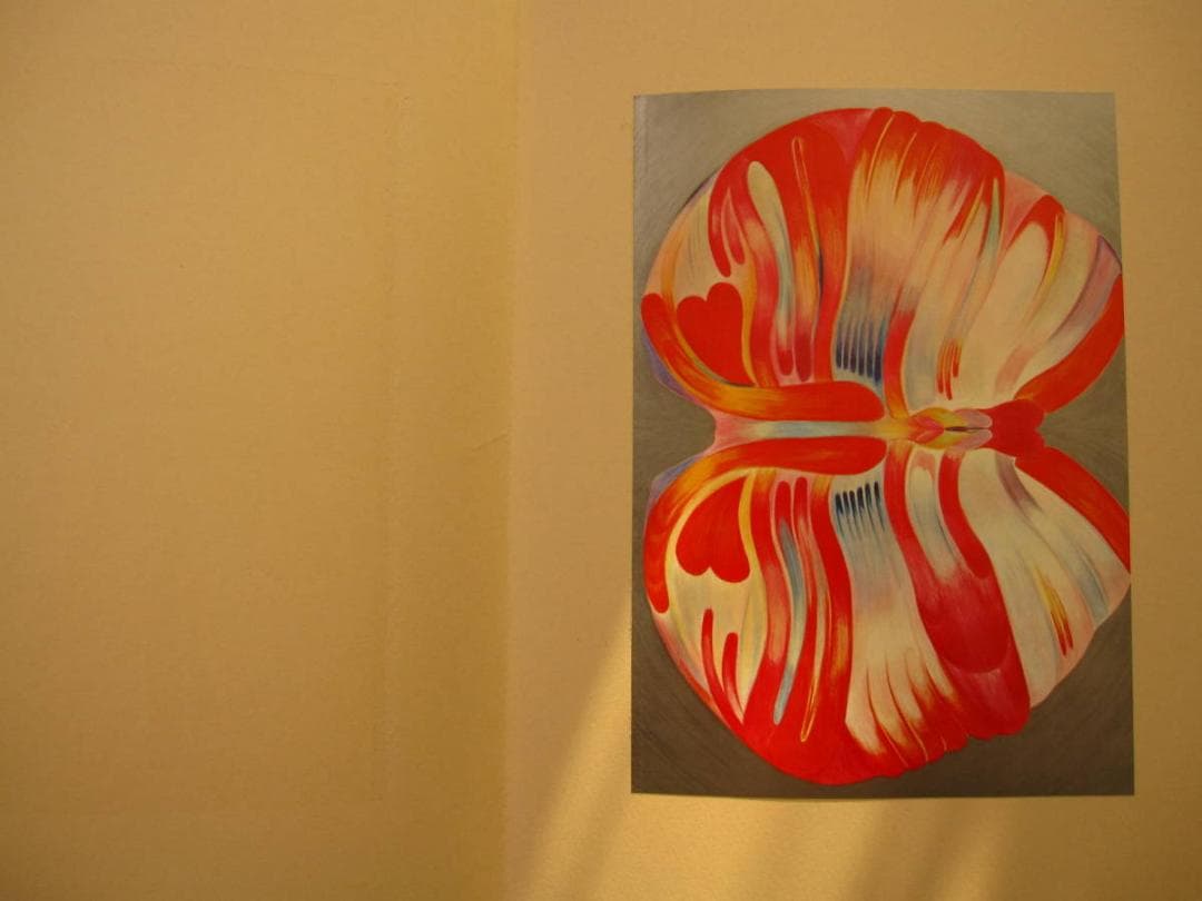 絵次元　谷川晃一　展翅箱　200部限定　肉筆画 一葉付き 直筆サイン　澁澤龍彦