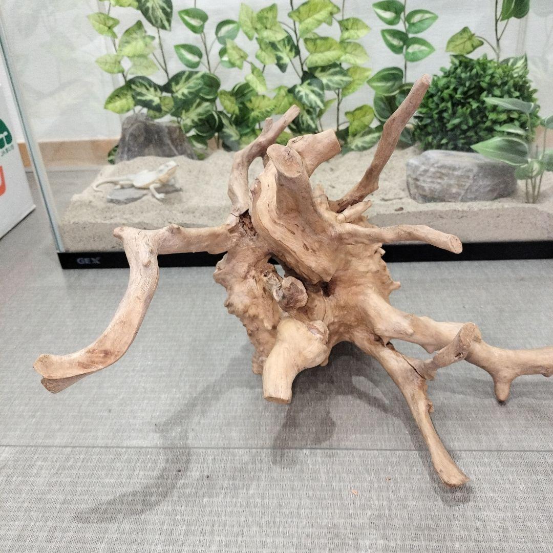 No.1157】シェルター流木 爬虫類レイアウト✫インテリア✫エアー