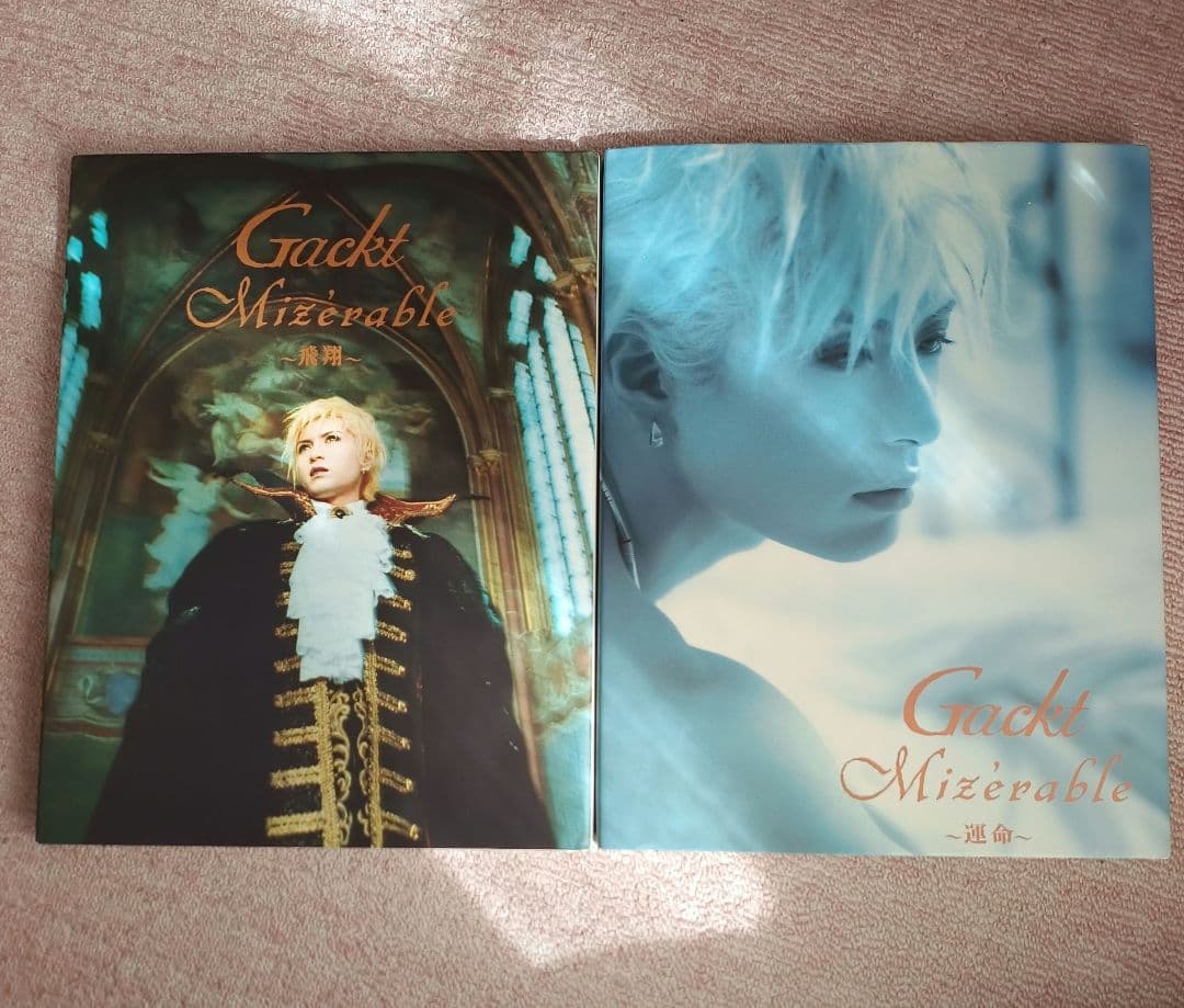 Gackt Mizerable - 運命-飛翔 - メルカリ