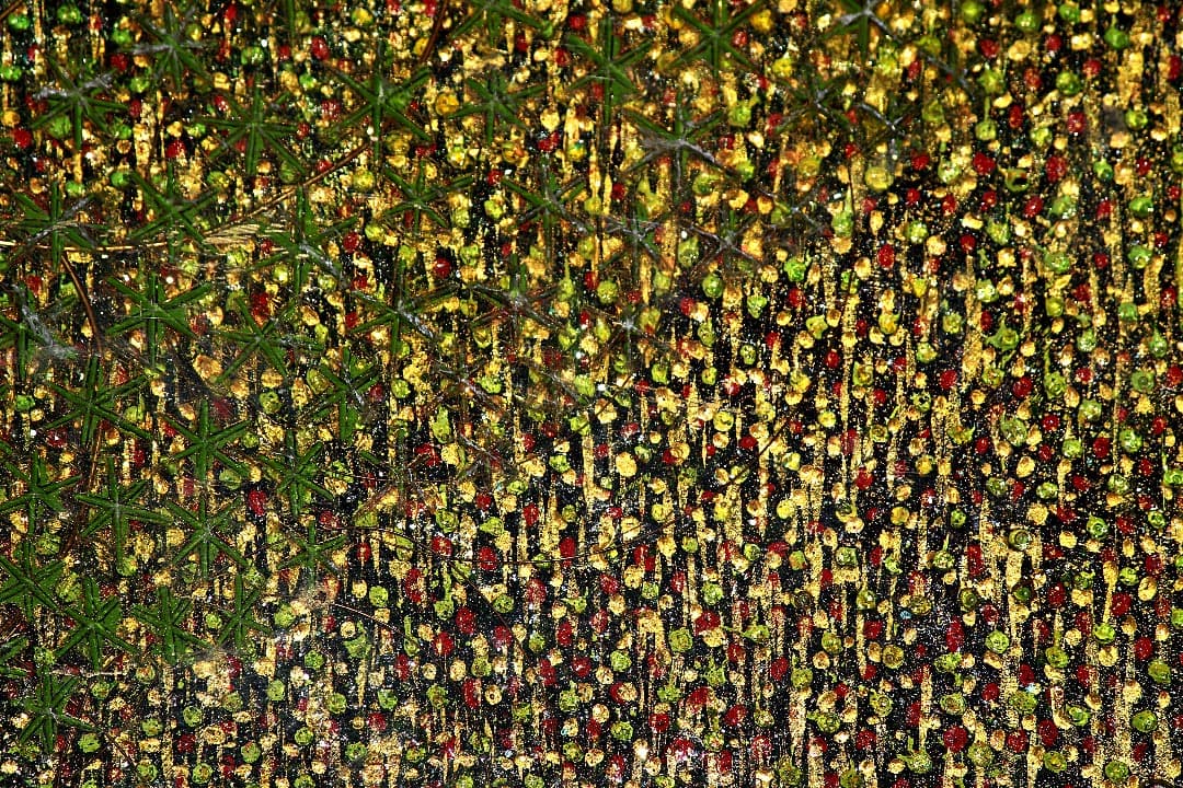 絵画 大西佐奈 かみさまのわ（2005）サイズ：約1m X 1m 値下げ