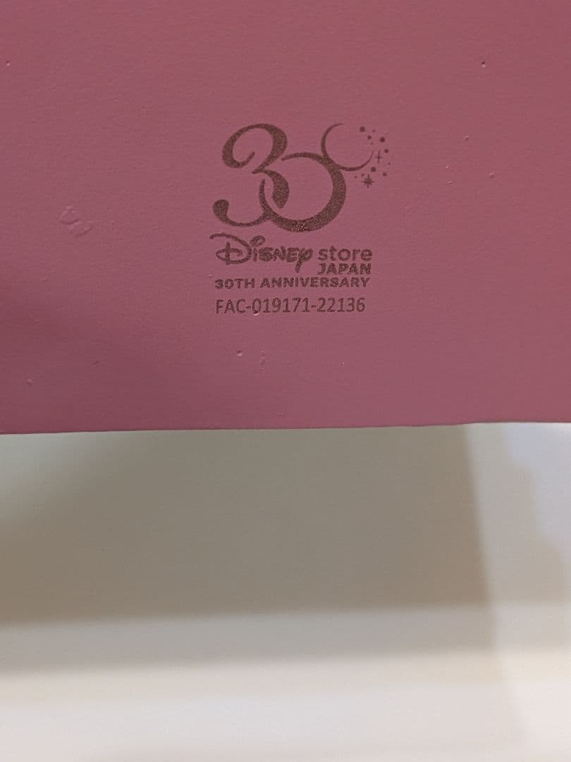 ディズニーストア 30周年 ピーターパン アクセサリーケース - メルカリ