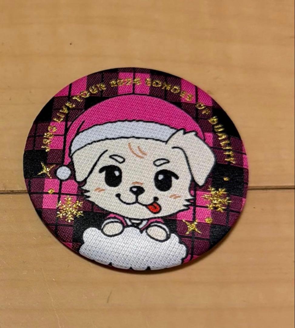 三代目JSB グッズ 刺繍缶バッジ 岩田剛典 GAN - メルカリ