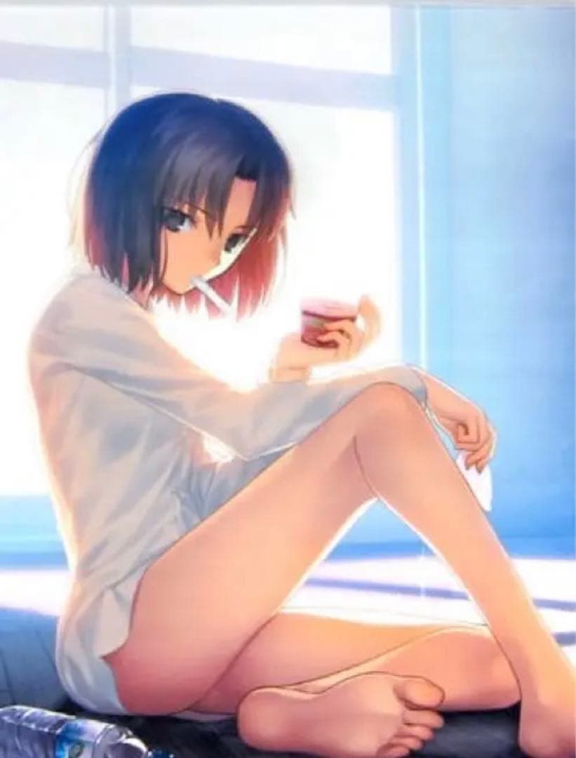 Premium Tapestry vol.2(B2タペストリー) - メルカリ