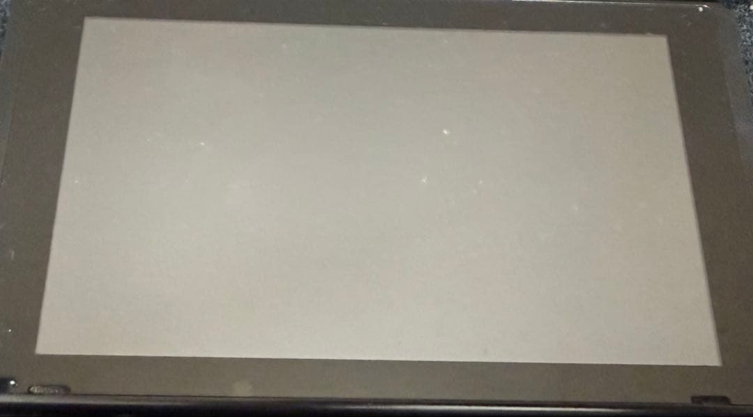 Nintendo Switch 本体のみ プロコン付き Nintendo Switch本体 プロコン付き Nintendo Switch 本体 プロコン．外