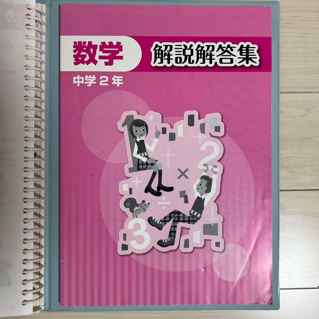中学2年 授業攻略ゼミ Mighty Navi 6教科セット国数社（地・歴）理英の