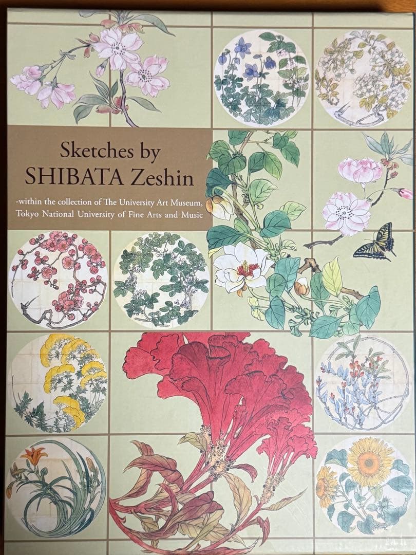 柴田是真 下絵・写真集　中古